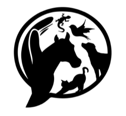 Anthrozoology as International Practice Conference